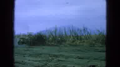 Pueblo Mexico (1965): A Big Plantation That Is A Business To Grew Up The Economy