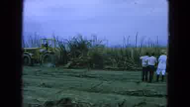 Pueblo Mexico (1965): Guy Cutting The Grass And Other Py Watch