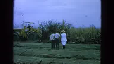 Pueblo Mexico (1965): Harvesting Grain On A Grain Field With A Big Harvesting