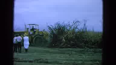 Pueblo Mexico (1965): Tractor Collects Farm Waste To Have A Good Planting