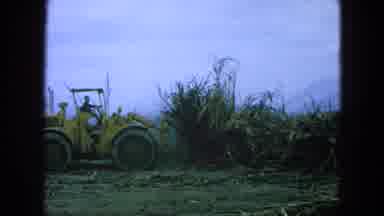 Pueblo Mexico (1965): Bulldozer Clearing And Gathering Up Brush And Branches From