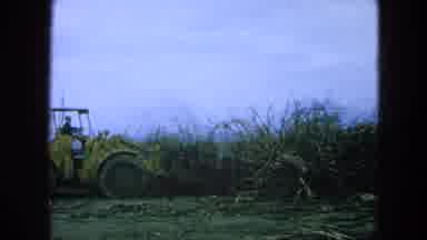 Pueblo Mexico (1965): A Tractor Is Used To Reap The Crop Of The Field