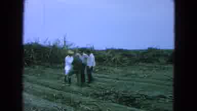 Pueblo Mexico (1965): Four People Gathered And Talking In Field While A Person In