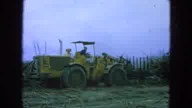 Pueblo Mexico-1965: Yellow Front-End Loader Harvests Sugarcane In Rural Field