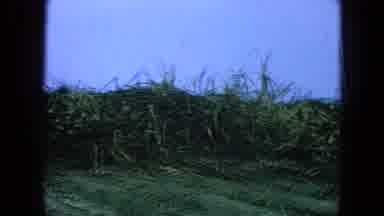 Pueblo Mexico (1965): Flash Of A Tractor And The A Video Of Tall Grass