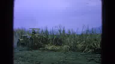 Pueblo Mexico (1965): A Farmer Tills The Ground For New Vegetation On His Farm