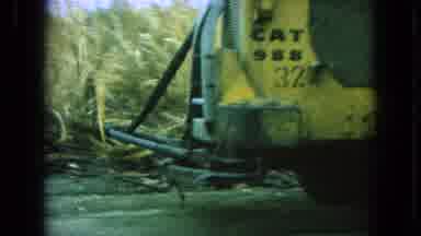 Pueblo Mexico (1965): Plants In The Field Are Being Cut Down Using A Fast Moving