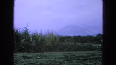 Pueblo Mexico (1965): Heavy Mechanical Operator Plows Through Dead Tree Brush In A