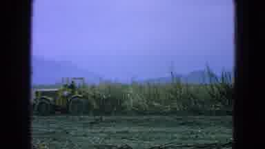 Pueblo Mexico (1965): Tractor Harvesting The Plantation