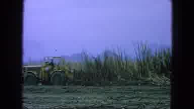 Pueblo Mexico (1965): Front Loader Scoops Up A Large Amount Of Dead Trees Across