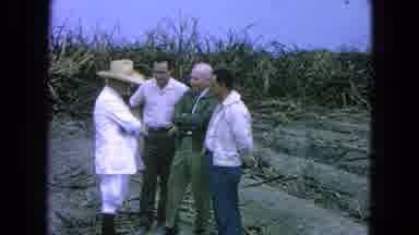 Pueblo Mexico (1965): Look Over Yonder!