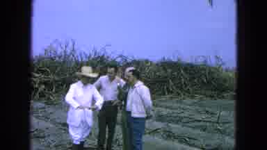 Pueblo Mexico (1965): Four Men Talking On A Plantation While Pointing At Something
