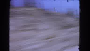 Barstow California USA (1966): Driving Grass Dog Puppy Electrical Lines Wag Paw