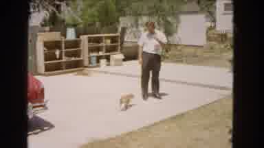 Barstow California USA (1966): Man And Dog Are Outside The Man Pets The Dog And