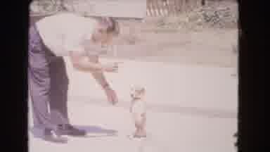 Barstow California USA (1966): Older Man Trying His Hardest To Teach Young Dog New