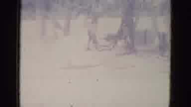 Busche Gardens Florida (1966): Large Cranes Water Spray And Flamingos Spotted