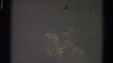 Danville Illinois (1966): A Beautiful Woman Wearing A Yellow Dress In A Black Room