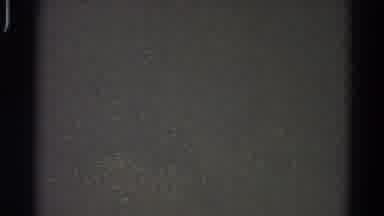 Danville Illinois (1966): Snapshot Of A Bride And Groom Posing For A Photograph On