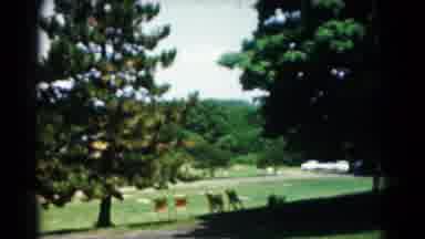 Hagerstown Maryland USA (1966): Home Mailboxes Signs Green Grass Old Home Video