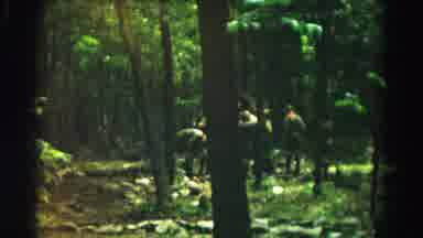 Hagerstown Maryland USA (1966): People In The Forest Talking To Each Other