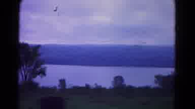 Hagerstown Maryland USA (1966): A View Of An Isolated Forest Surrounded By Water