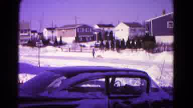 Hagerstown Maryland USA (1966): Clip Shows Person And Dog Trying To Cross The Road