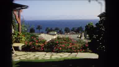 Los Angeles California (1966): A Beautiful Garden With Moss Covered Paths And Red