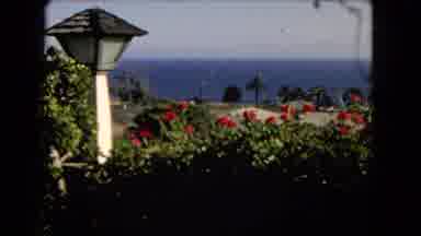Los Angeles California (1966): Scenic View Of Garden Flowers And The Shore Front
