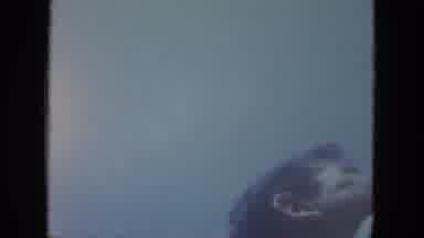 Milwaukee Wisconsin (1966): Watching A Parade Of Horses That Reminded Me Of