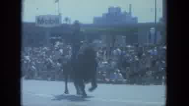 Milwaukee Wisconsin (1966): A Retro Parade With A Man Riding A Bison And Cattle
