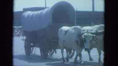 Milwaukee Wisconsin (1966): A Bull Drags An Old Style Gypsy Cart While A Couple