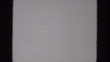 Milwaukee Wisconsin (1966): Little Blond Girl Dressed In A White Shirt With