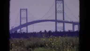 San Pedro California USA (1966): Bridge Stands Tall Over The Grass And The Wild
