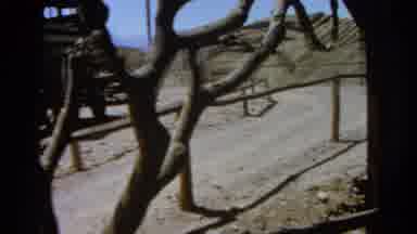 Silver Lake California (1966): Footage Of An Old Type Carriage Filmed Through The