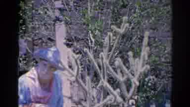 Silver Lake California (1966): Man Wearing Hat Next To Vegetation With Cactus And