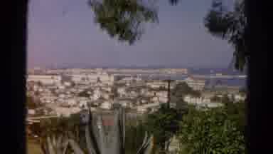 Silver Lake California (1966): Looking Over A City Viewing Trees Landscape And