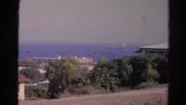 Silver Lake California (1966): Street With Palm Trees Overlooks Ocean Where Large