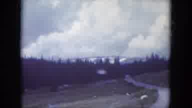 South Dakota USA (1966): Scenic Drive Along A Mountain Road Lots Of Pine Trees