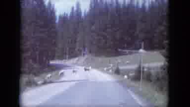 South Dakota USA (1966): We Come By A Ranch With Sheep In A Valley By A Mountain