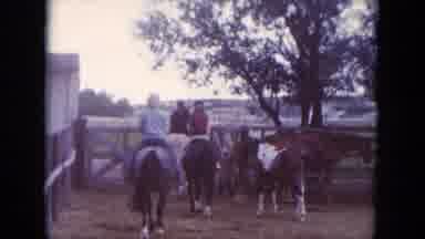South Dakota USA (1966): Family Holiday In Large Farm With Amazing Animals And