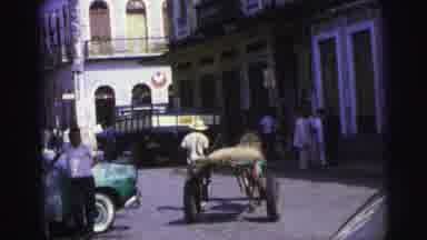 Brazil (1967): Man Leading Horse And Cart