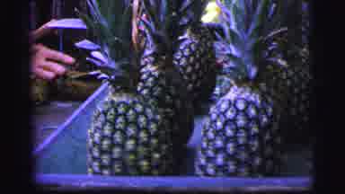 Brazil (1967): People Packing Up Pineapples From A Market Stall Outside That Has
