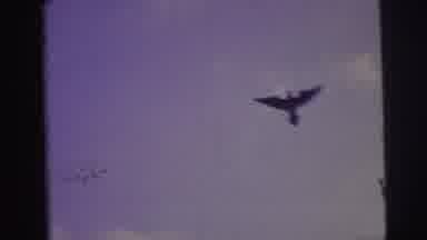 Brazil (1967): A Large Black Bird Flying Aimlessly In A Blue Sky With Few Clouds