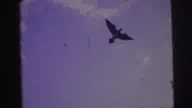 Brazil (1967): Someone Flying A Kite In The Shape Of Black And White Birds