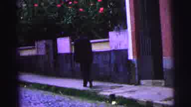 Brazil (1967): Walking Down The Streets