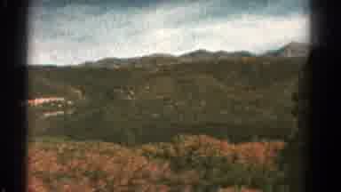 Colorado US (1967): Pretty Green Trees Plants Grass On Mountains Cloudy Sky Sun