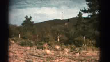 Colorado US (1967): Landscape With Trees Mountains And Stones With A Very Green