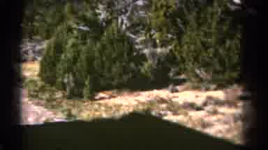 Colorado US (1967): Old Footage Shows Street Car Road Sign Butte And Desert