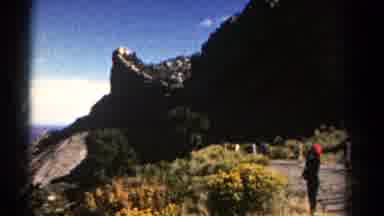 Colorado US (1967): Someone Shoots A Beautiful Greenery View On Mountain