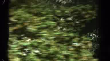 Colorado US (1967): Wilderness We Need To Protect It